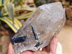 Natural Smokey Quartz with Black Tourmaline Specimens x 2 From Erongo, Namibia - Toprock Gemstones and Minerals 
