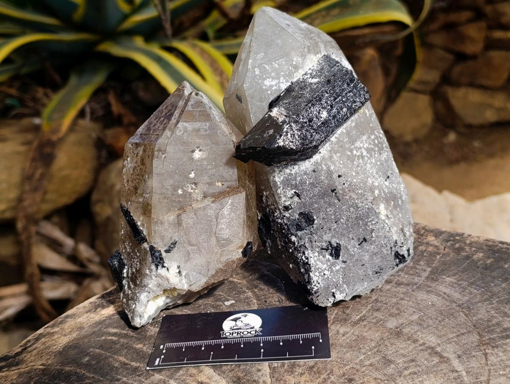 Natural Smokey Quartz with Black Tourmaline Specimens x 2 From Erongo, Namibia - Toprock Gemstones and Minerals 