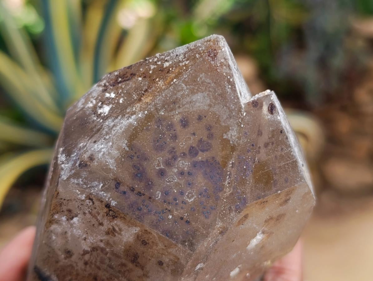 Natural Smokey Quartz with Black Tourmaline Specimens x 2 From Erongo, Namibia - Toprock Gemstones and Minerals 
