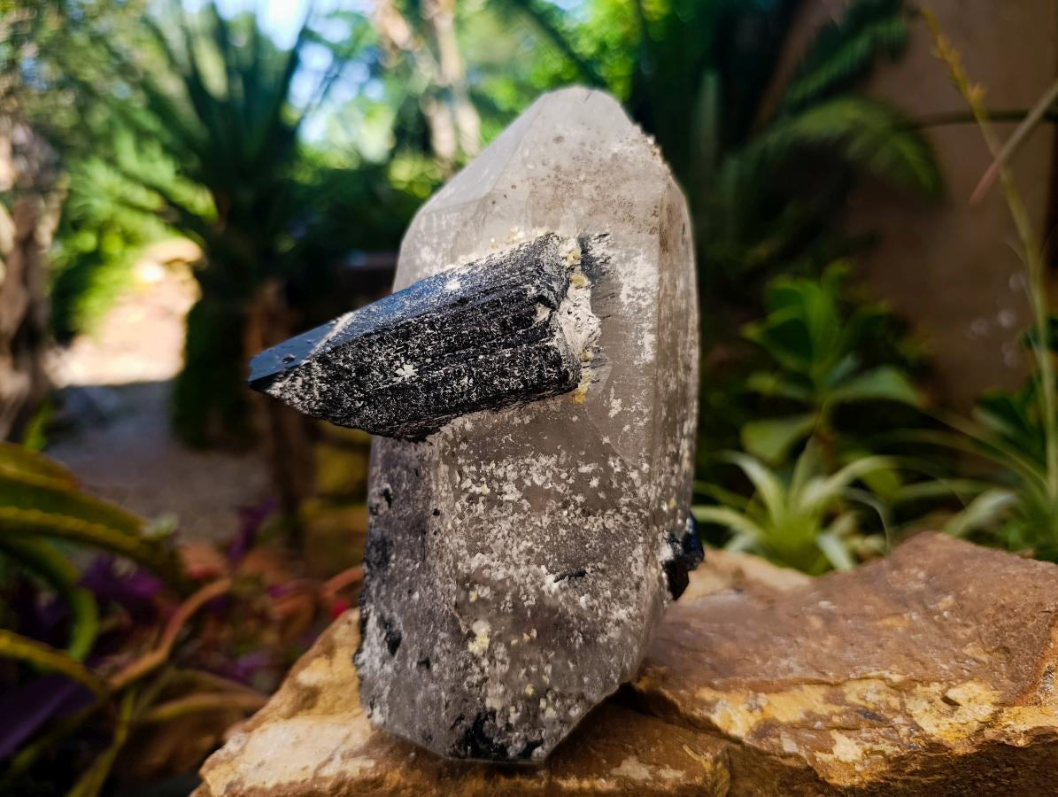 Natural Smokey Quartz with Black Tourmaline Specimens x 2 From Erongo, Namibia - Toprock Gemstones and Minerals 