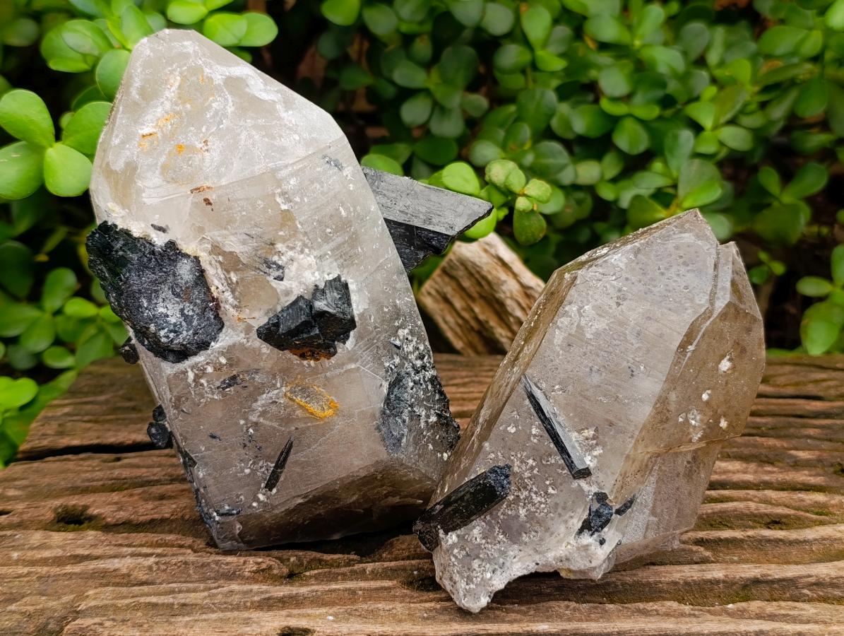 Natural Smokey Quartz with Black Tourmaline Specimens x 2 From Erongo, Namibia - Toprock Gemstones and Minerals 