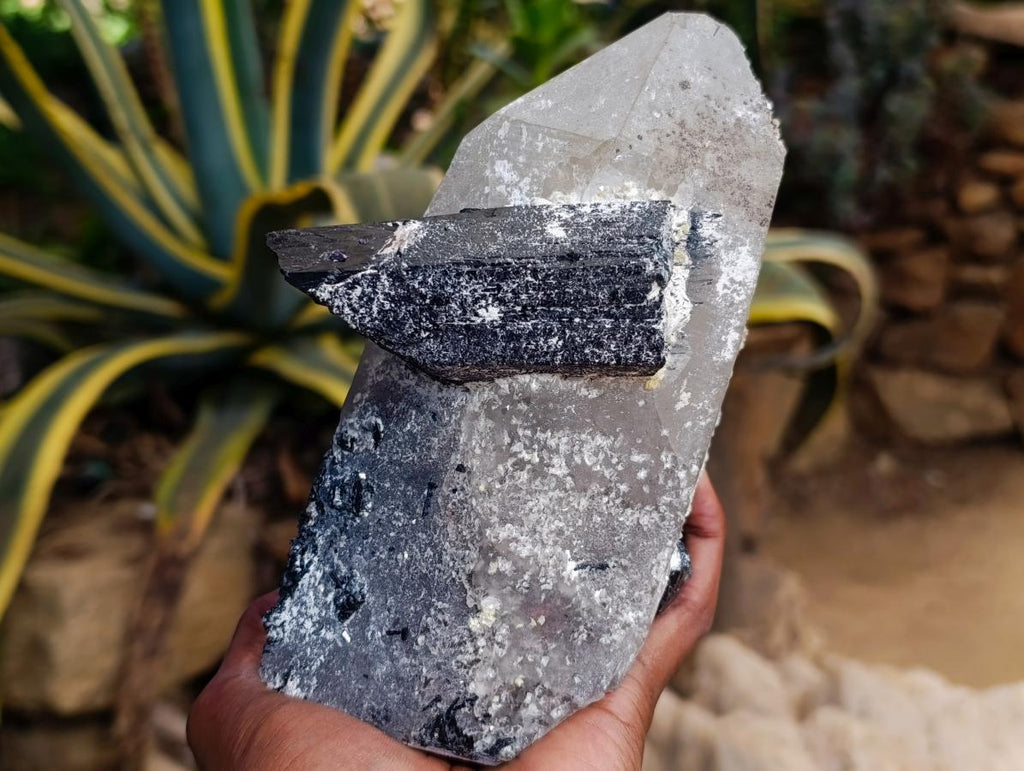 Natural Smokey Quartz with Black Tourmaline Specimens x 2 From Erongo, Namibia - Toprock Gemstones and Minerals 