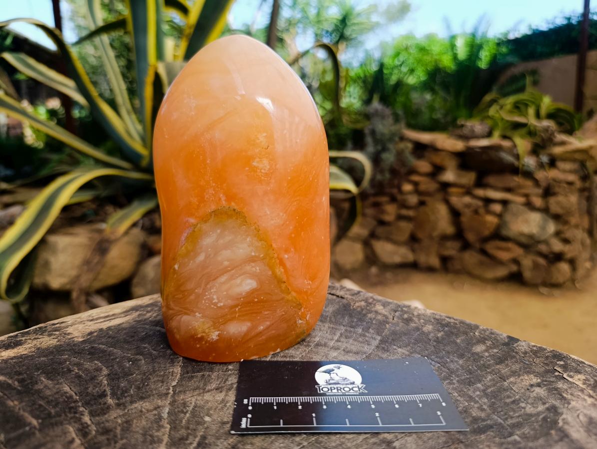 Polished Large Orange Twist Calcite Standing Free Form x 1 From Maevantanana, Madagascar - Toprock Gemstones and Minerals 