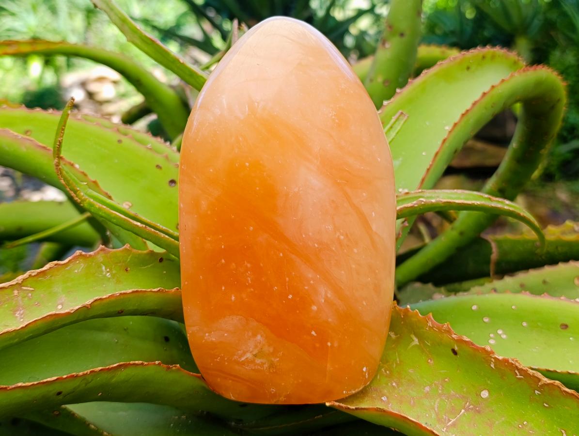 Polished Large Orange Twist Calcite Standing Free Form x 1 From Maevantanana, Madagascar - Toprock Gemstones and Minerals 