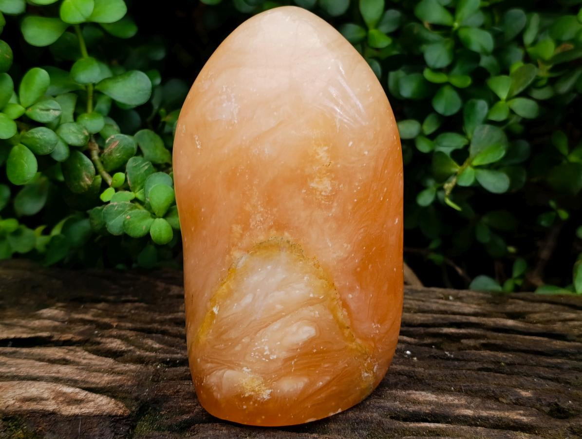 Polished Large Orange Twist Calcite Standing Free Form x 1 From Maevantanana, Madagascar - Toprock Gemstones and Minerals 