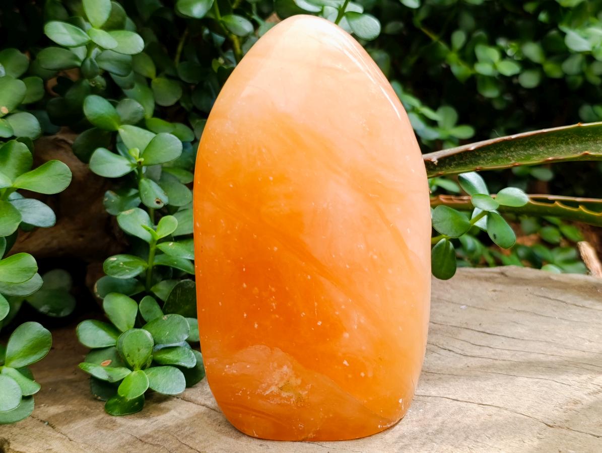 Polished Large Orange Twist Calcite Standing Free Form x 1 From Maevantanana, Madagascar - Toprock Gemstones and Minerals 