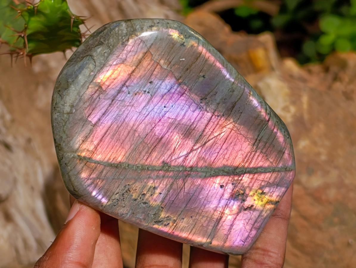 Polished Rare Purple Sunset Flash Labradorite Standing Free Forms x 6 From Madagascar - Toprock Gemstones and Minerals 