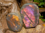 Polished Rare Purple Sunset Flash Labradorite Standing Free Forms x 6 From Madagascar - Toprock Gemstones and Minerals 