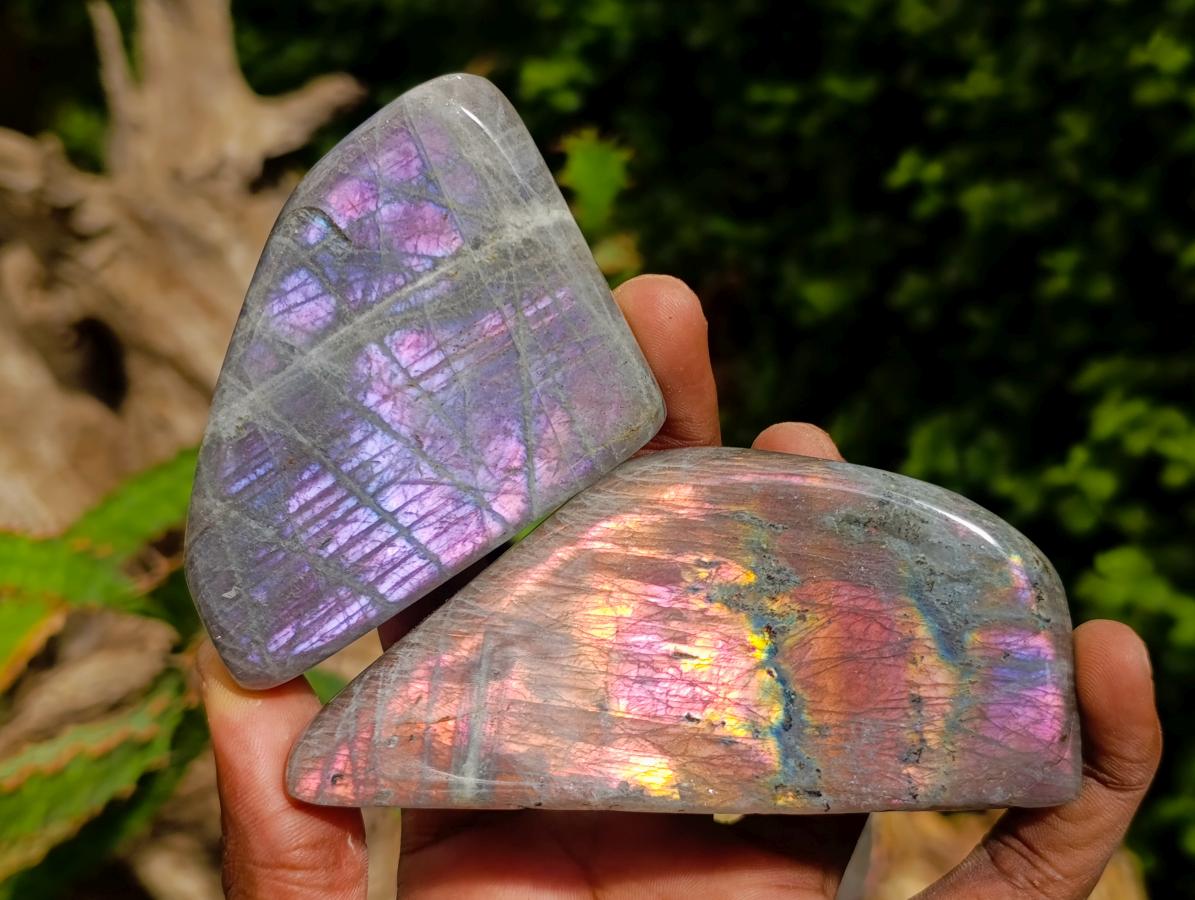Polished Rare Purple Sunset Flash Labradorite Standing Free Forms x 6 From Madagascar - Toprock Gemstones and Minerals 