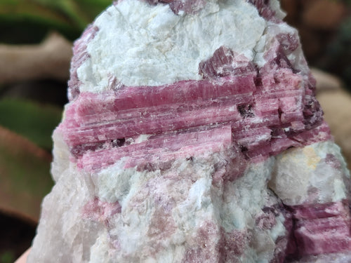 Natural Pink Rubellite Tourmaline Specimens x 3 From Karibib, Namibia - Toprock Gemstones and Minerals 