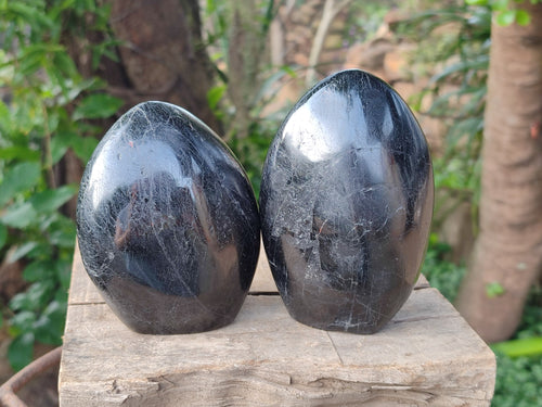 Polished Black Tourmaline Standing Free Forms x 2 From Madagascar - Toprock Gemstones and Minerals 