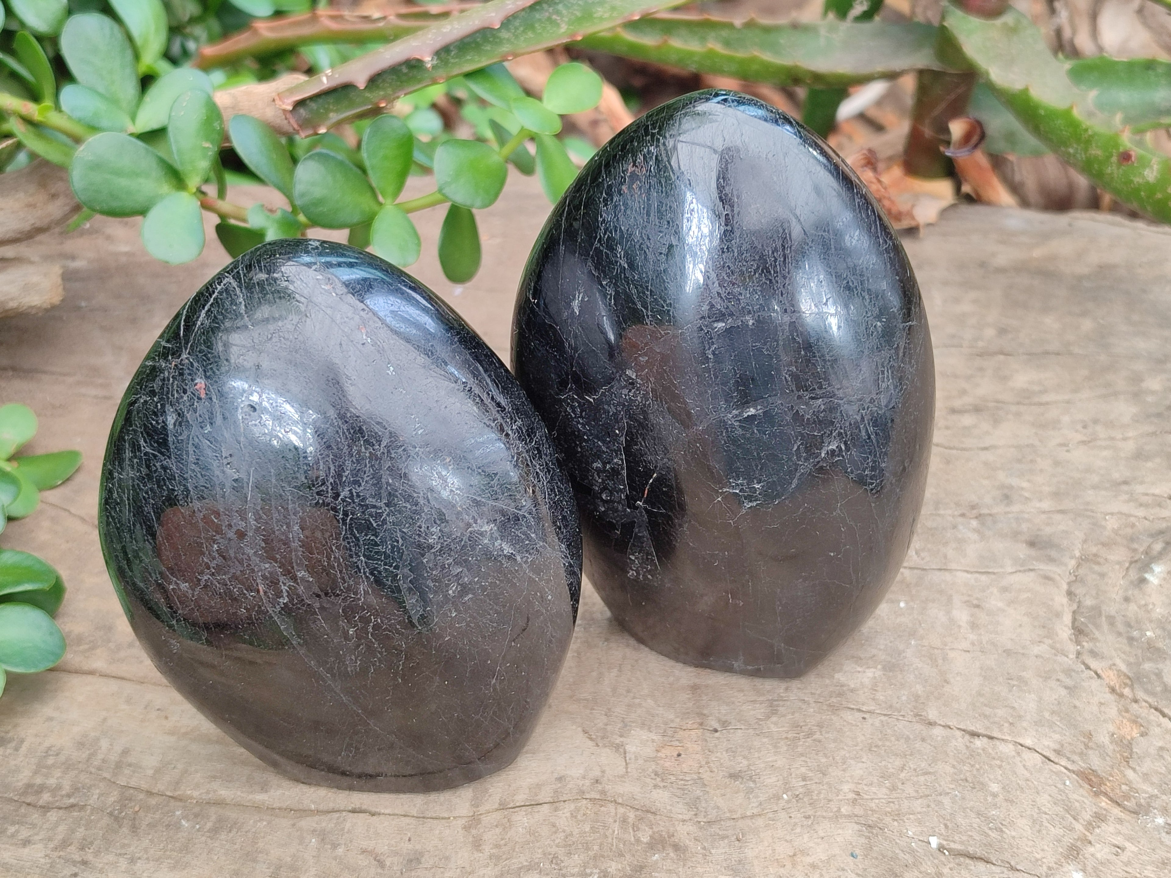 Polished Black Tourmaline Standing Free Forms x 2 From Madagascar - Toprock Gemstones and Minerals 