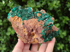 Natural Dioptase on Dolomite Specimens x 2 From Likasi, Congo - Toprock Gemstones and Minerals 