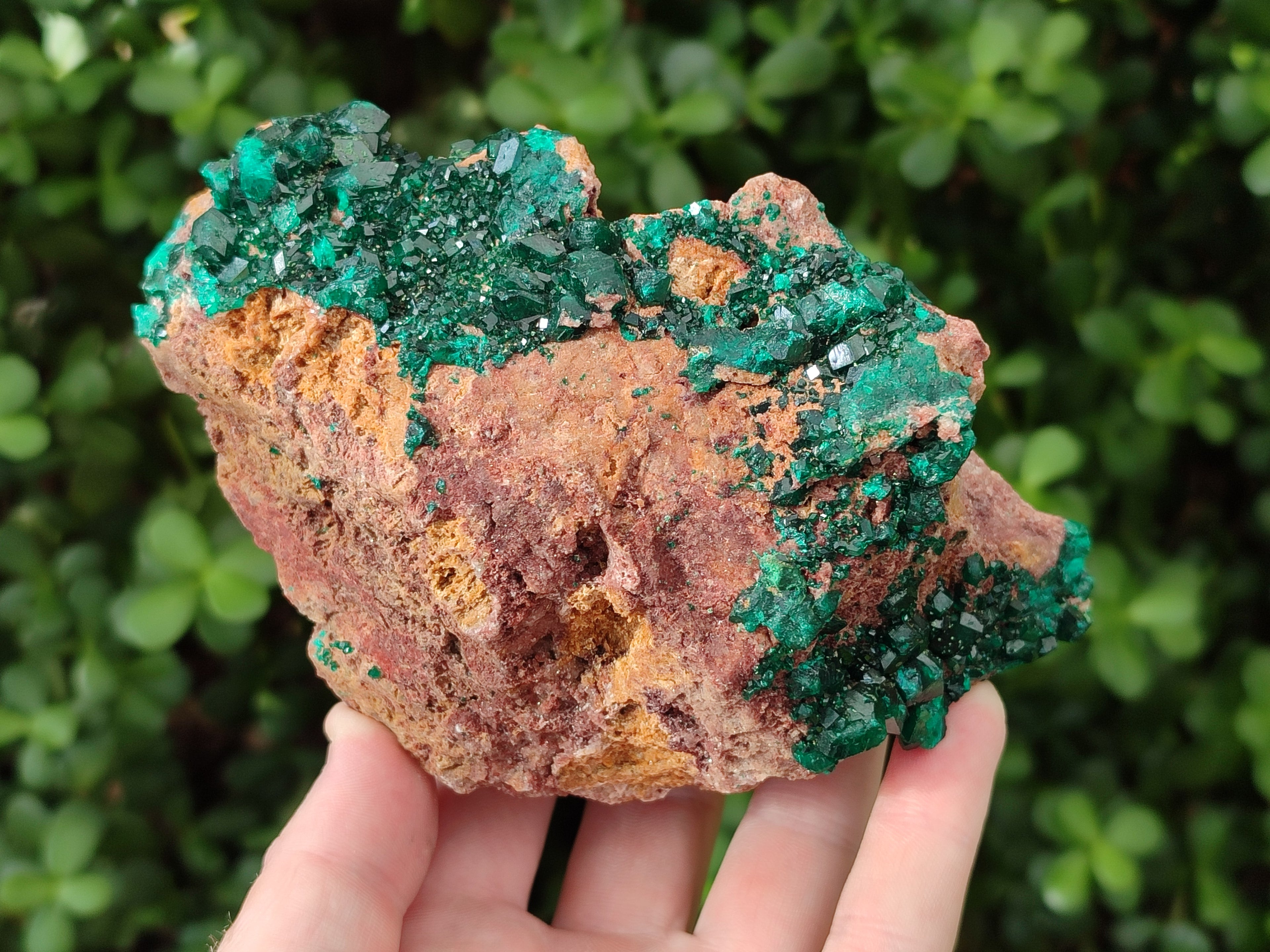 Natural Dioptase on Dolomite Specimens x 2 From Likasi, Congo - Toprock Gemstones and Minerals 