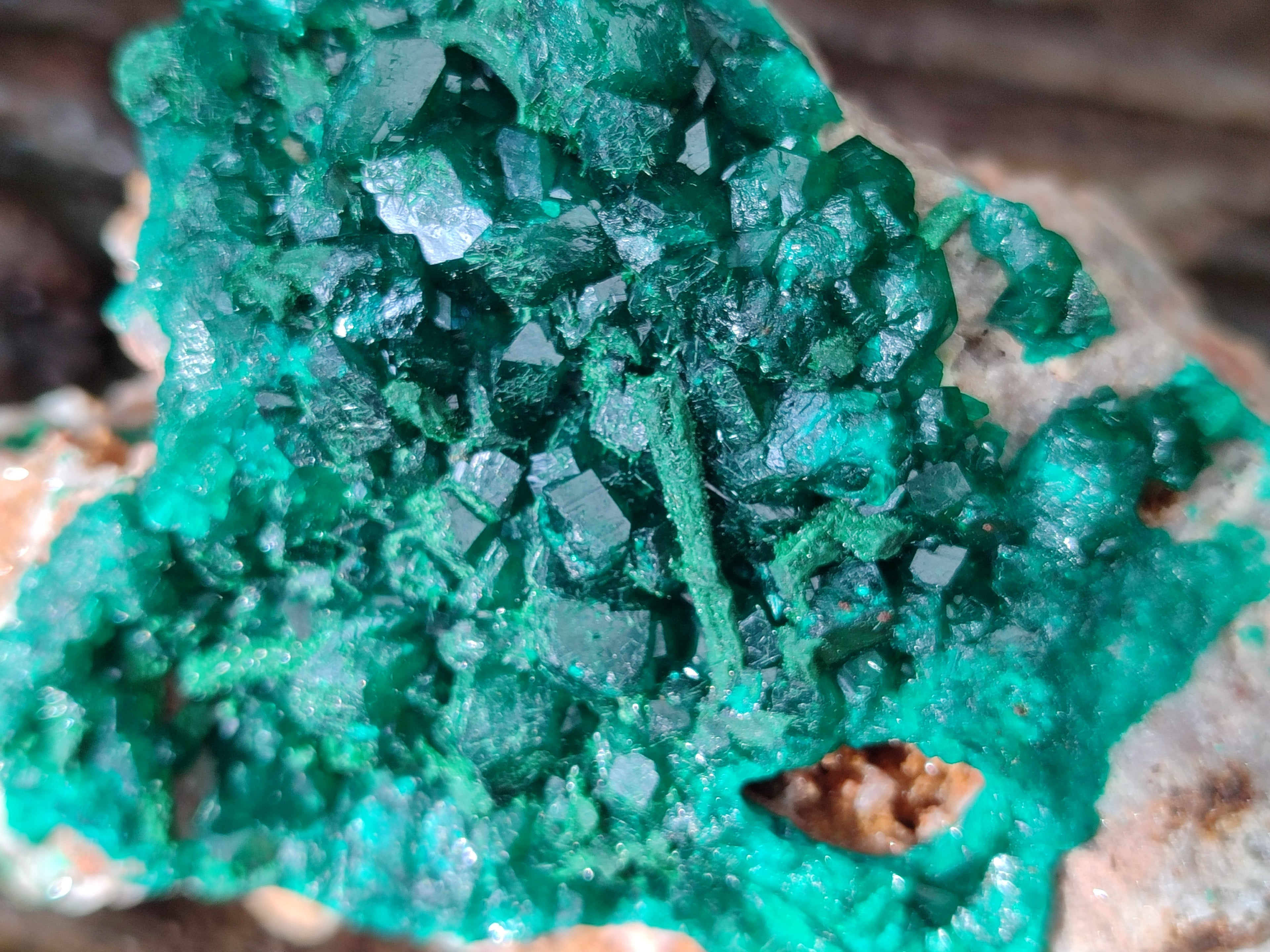 Natural Dioptase on Dolomite Specimens x 2 From Likasi, Congo - Toprock Gemstones and Minerals 
