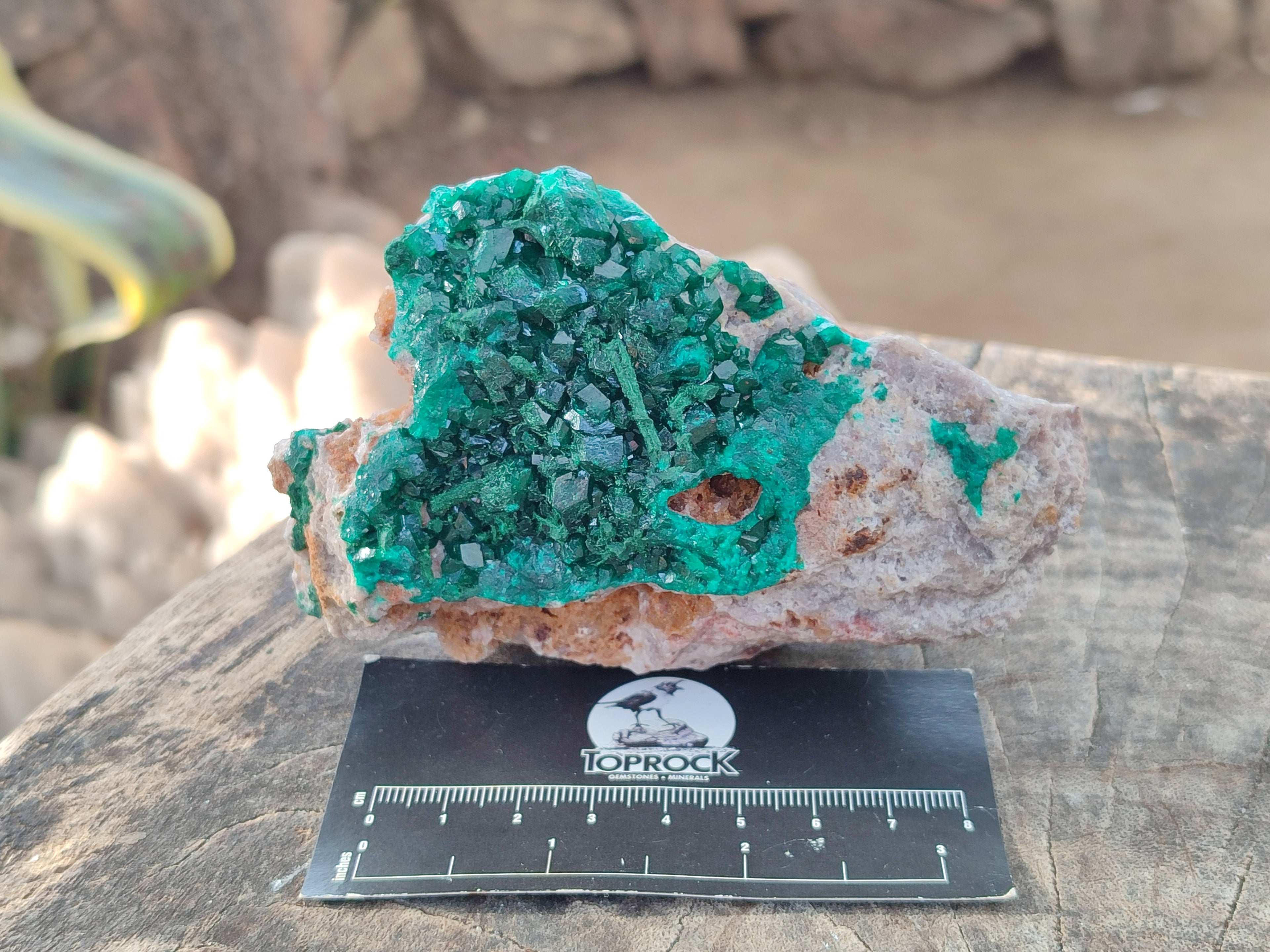 Natural Dioptase on Dolomite Specimens x 2 From Likasi, Congo - Toprock Gemstones and Minerals 