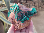 Natural Dioptase on Dolomite Specimens x 2 From Likasi, Congo - Toprock Gemstones and Minerals 