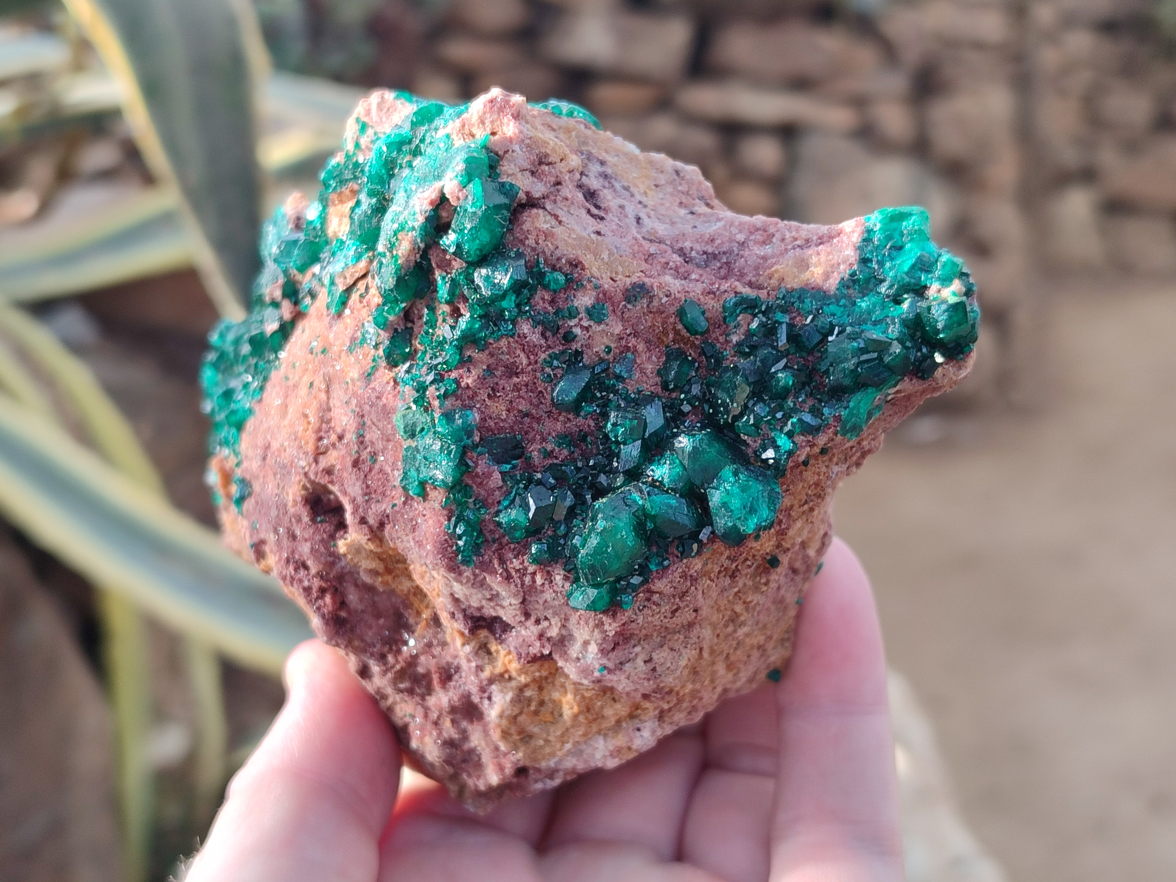Natural Dioptase on Dolomite Specimens x 2 From Likasi, Congo - Toprock Gemstones and Minerals 