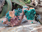 Natural Dioptase on Dolomite Specimens x 2 From Likasi, Congo - Toprock Gemstones and Minerals 