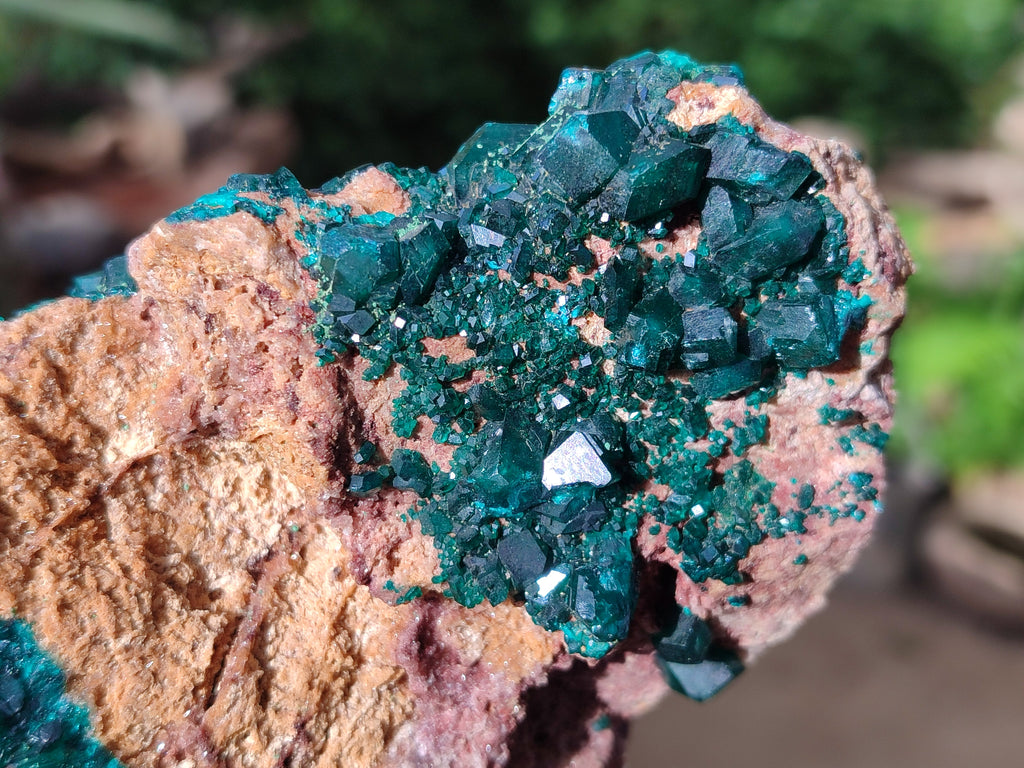 Natural Dioptase on Dolomite Specimens x 2 From Likasi, Congo - Toprock Gemstones and Minerals 