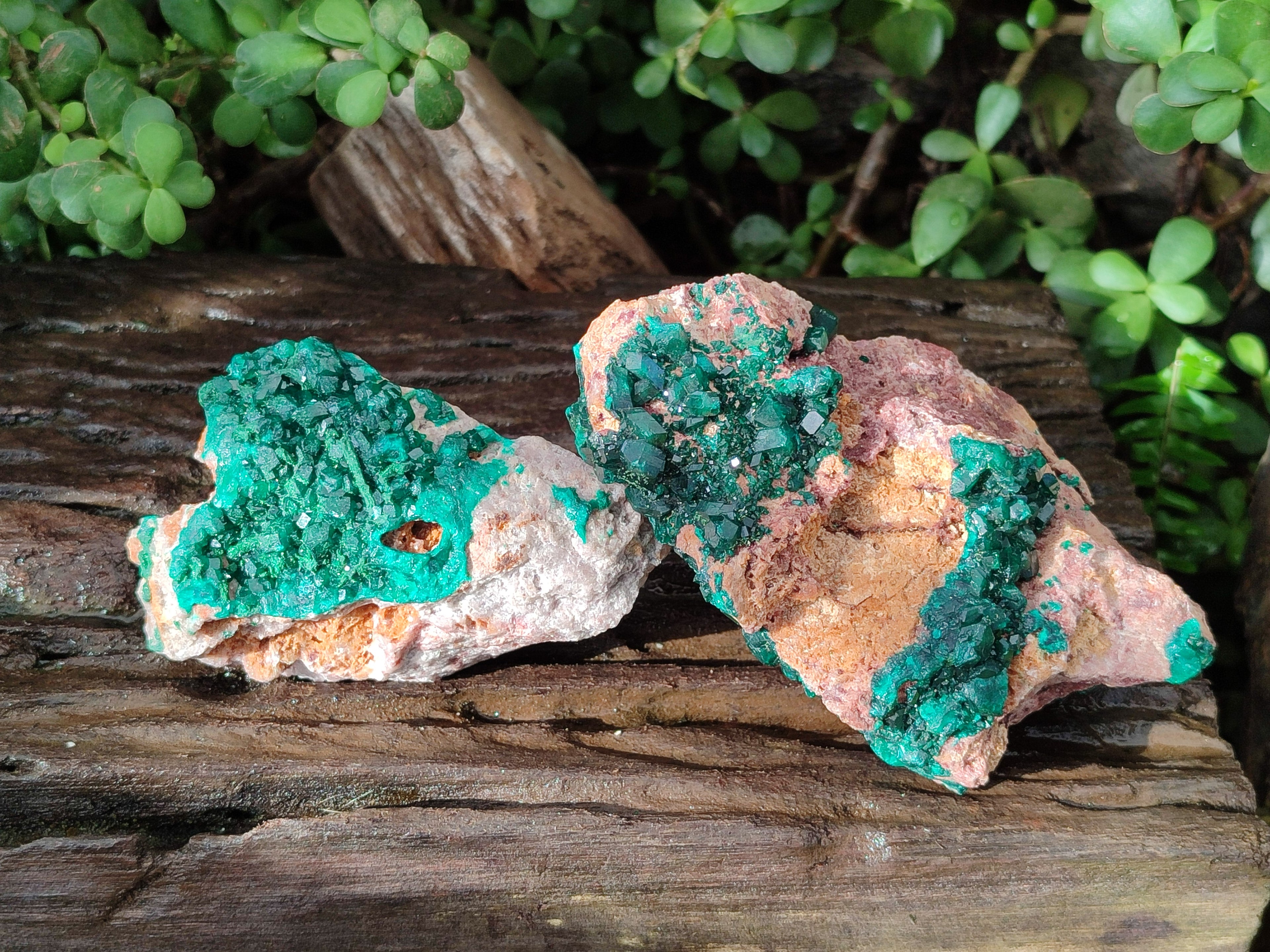 Natural Dioptase on Dolomite Specimens x 2 From Likasi, Congo - Toprock Gemstones and Minerals 