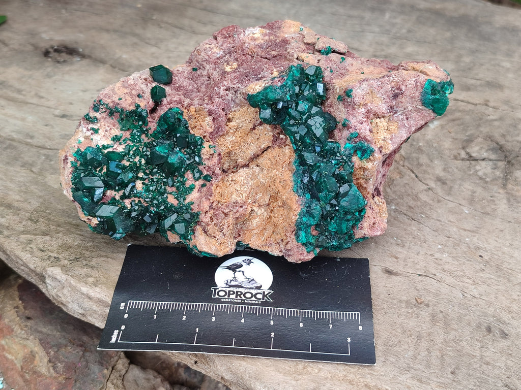 Natural Dioptase on Dolomite Specimens x 2 From Likasi, Congo - Toprock Gemstones and Minerals 