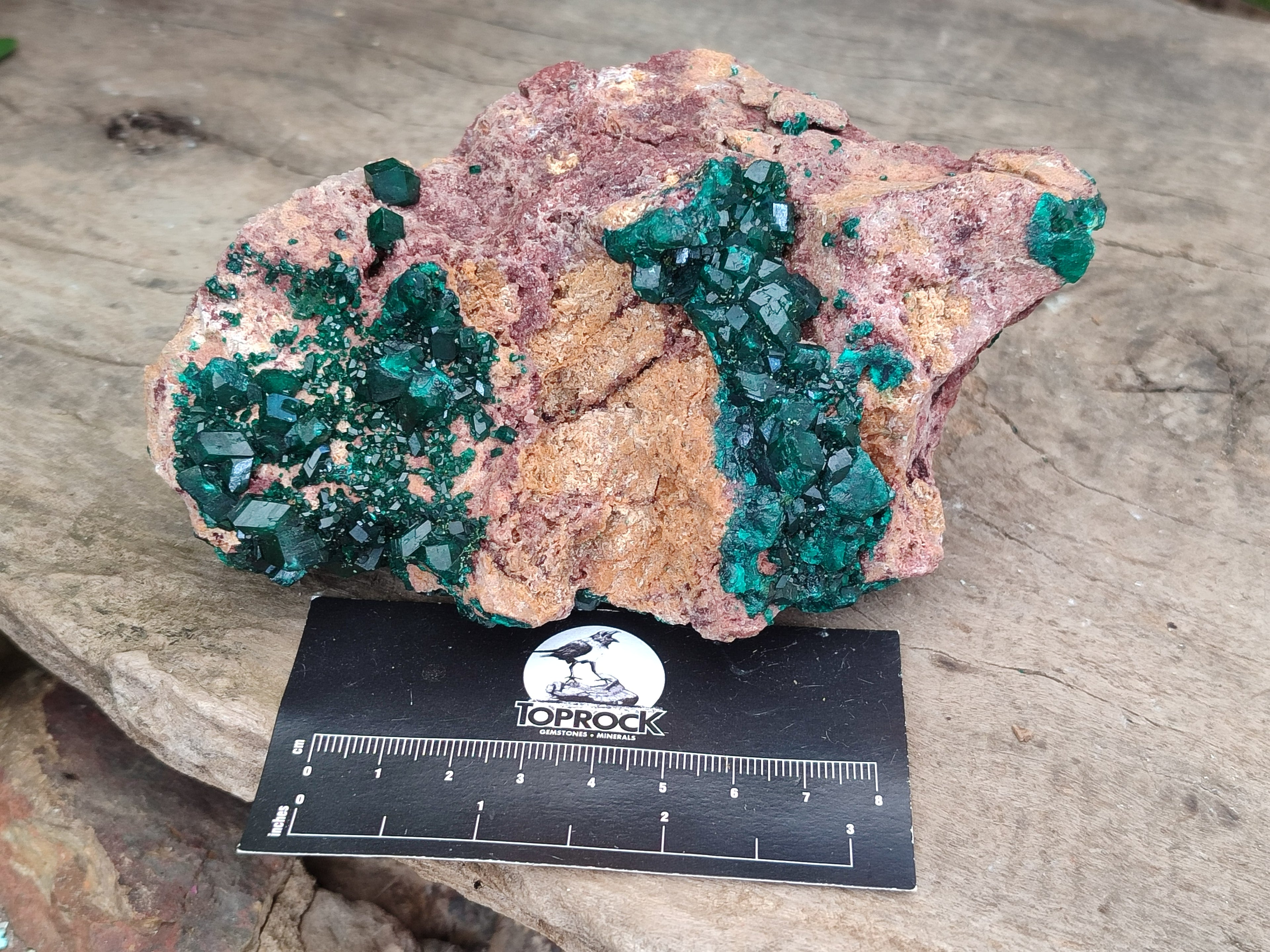 Natural Dioptase on Dolomite Specimens x 2 From Likasi, Congo - Toprock Gemstones and Minerals 