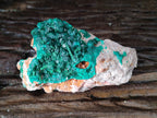 Natural Dioptase on Dolomite Specimens x 2 From Likasi, Congo - Toprock Gemstones and Minerals 