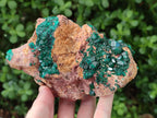 Natural Dioptase on Dolomite Specimens x 2 From Likasi, Congo - Toprock Gemstones and Minerals 