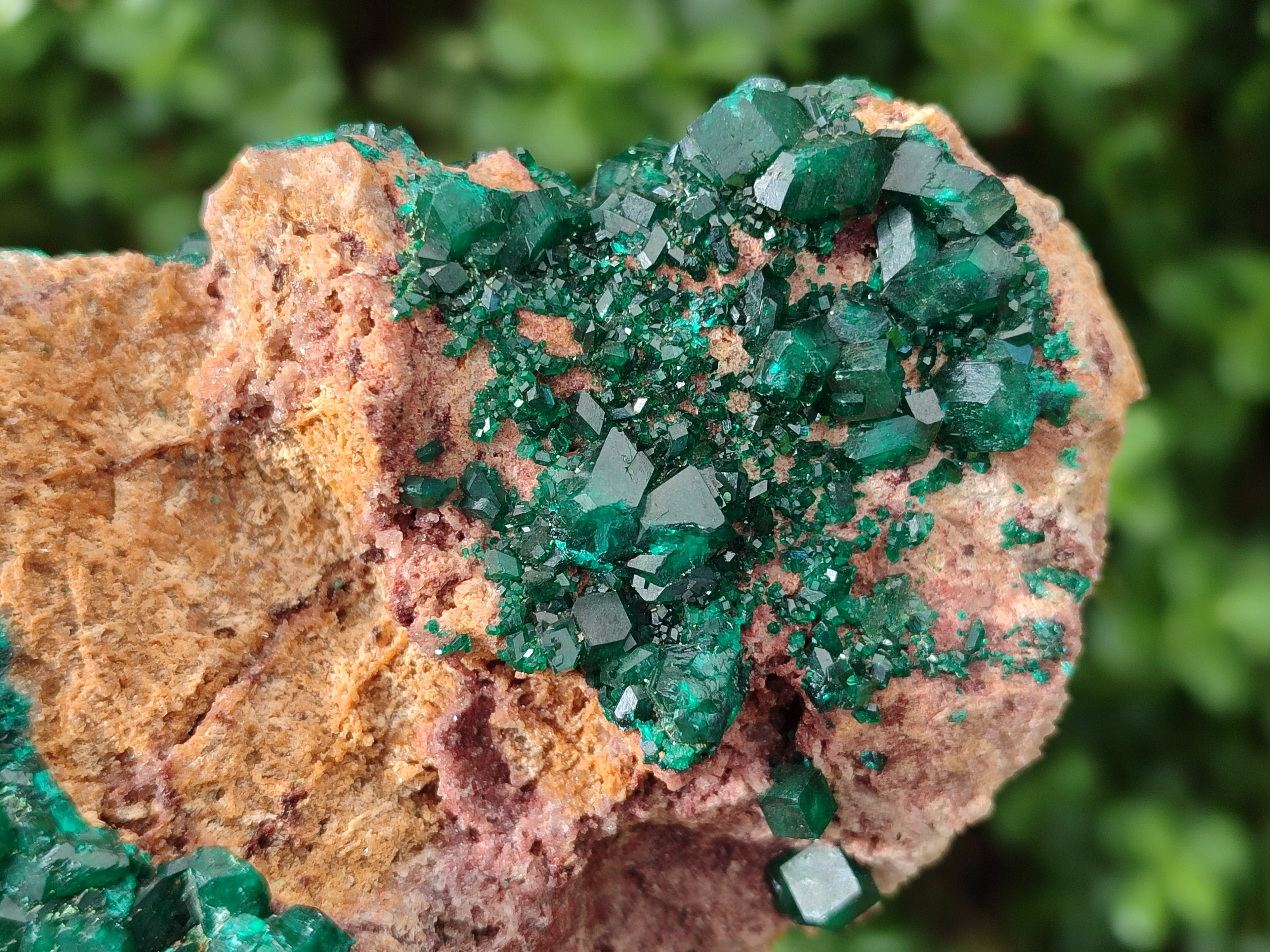 Natural Dioptase on Dolomite Specimens x 2 From Likasi, Congo - Toprock Gemstones and Minerals 