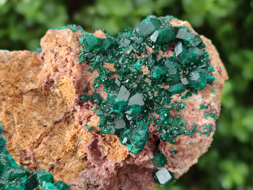 Natural Dioptase on Dolomite Specimens x 2 From Likasi, Congo - Toprock Gemstones and Minerals 
