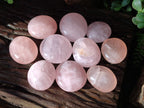 Polished Gemmy Rose Quartz Palm Stones x 12 From Madagascar - Toprock Gemstones and Minerals 