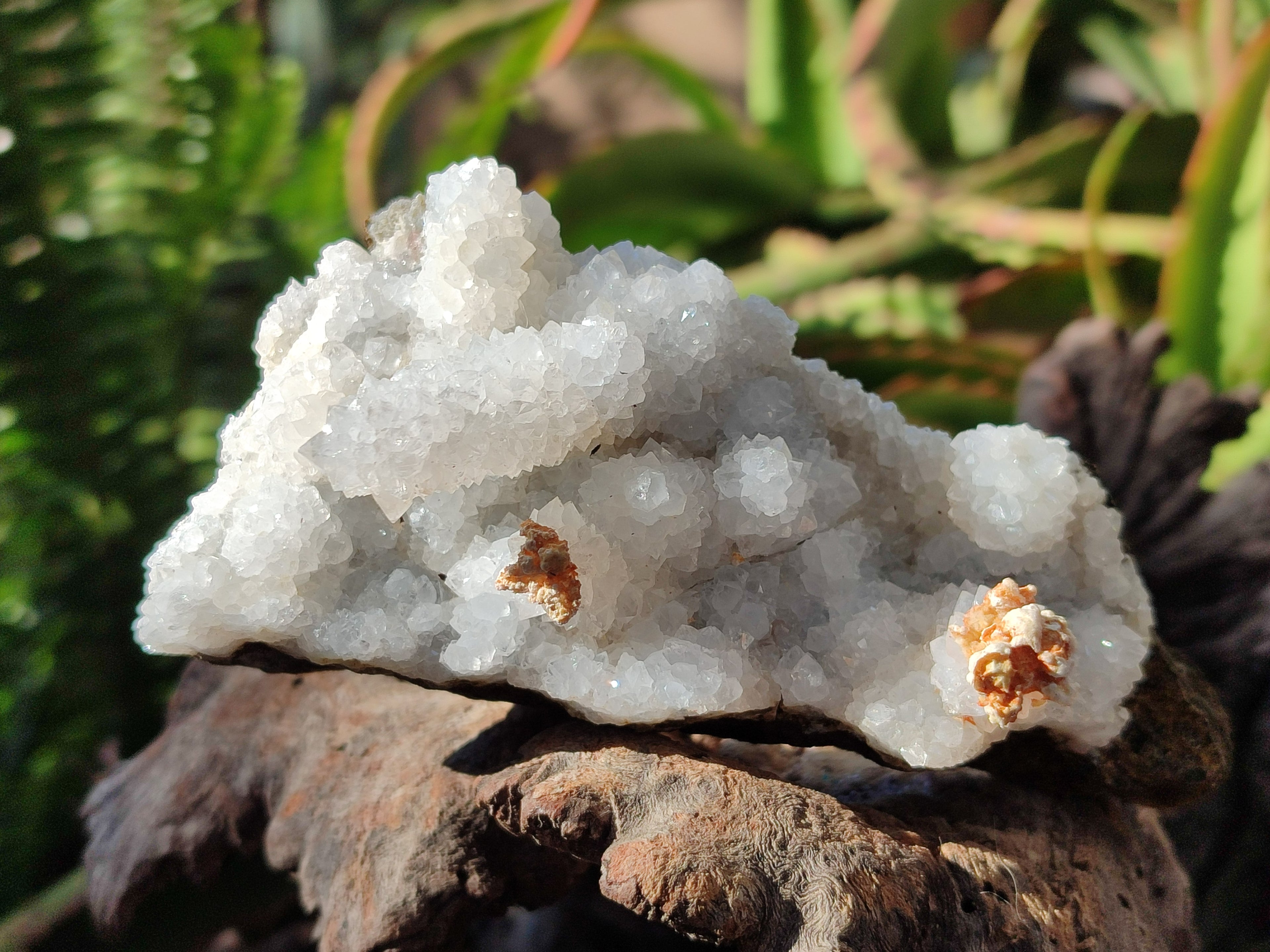 Natural Drusy Snow Finger Crystal Clusters x 12 From Albert's Mountain, Lesotho - Toprock Gemstones and Minerals 