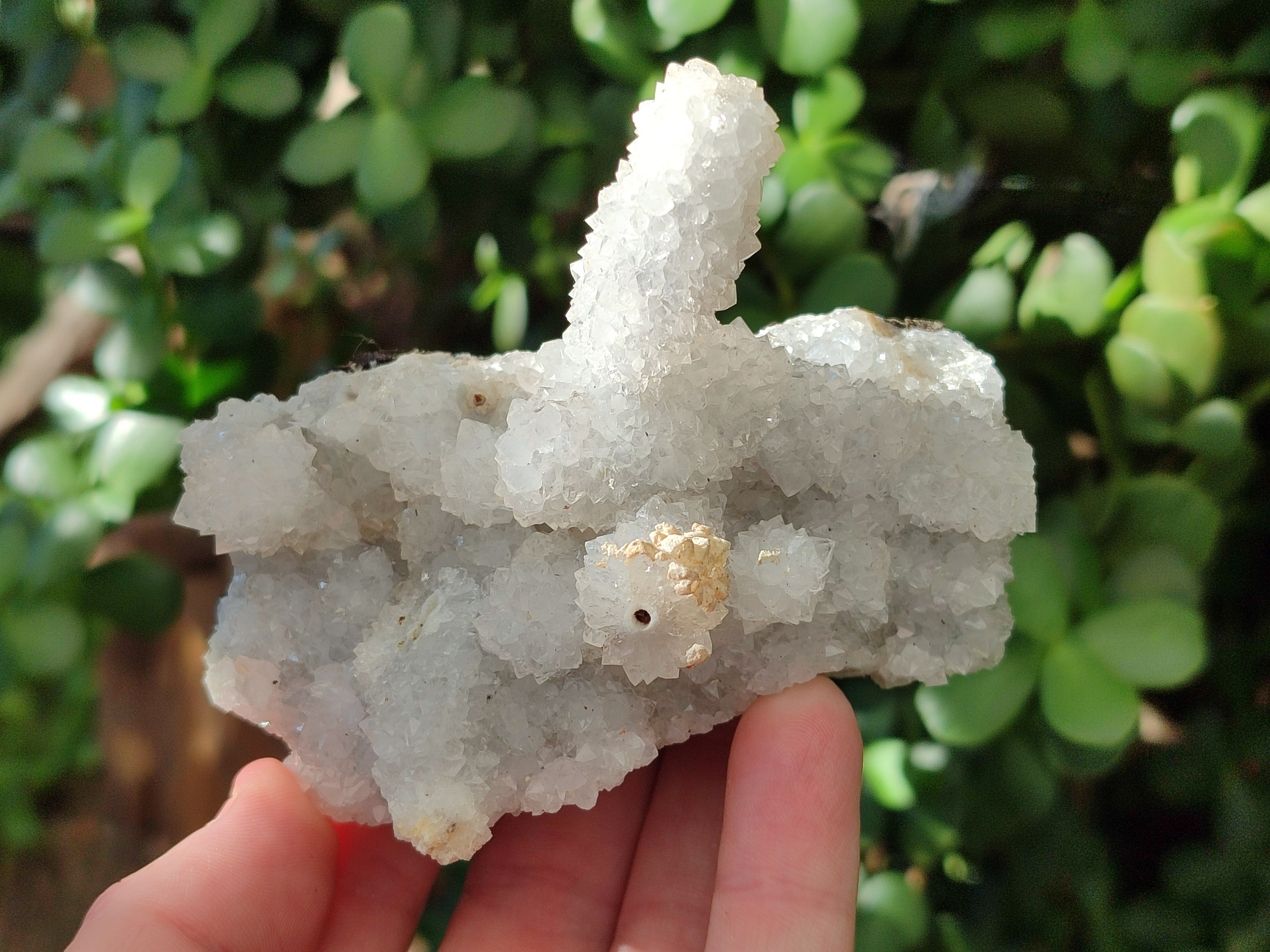 Natural Drusy Snow Finger Crystal Clusters x 12 From Albert's Mountain, Lesotho - Toprock Gemstones and Minerals 