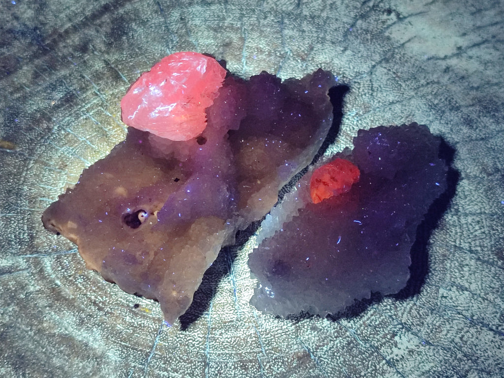 Natural Drusy Snow Finger Crystal Clusters x 12 From Albert's Mountain, Lesotho - Toprock Gemstones and Minerals 