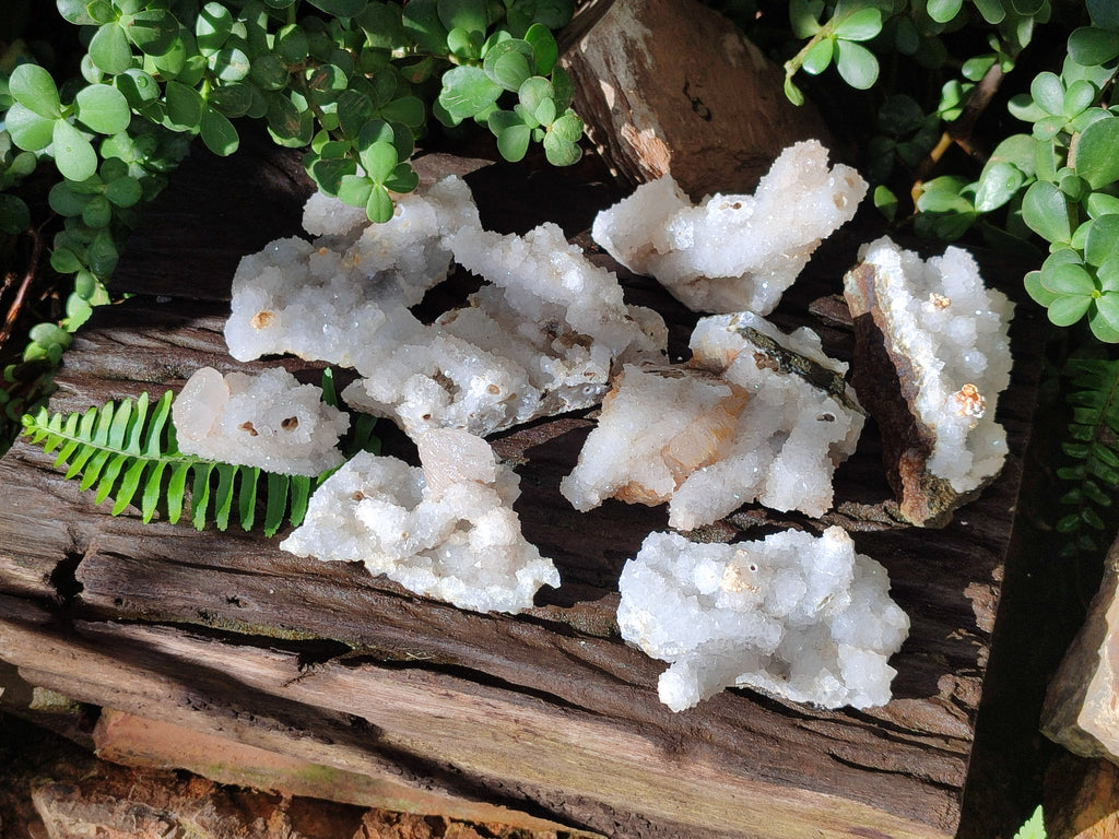 Natural Drusy Snow Finger Crystal Clusters x 12 From Albert's Mountain, Lesotho - Toprock Gemstones and Minerals 