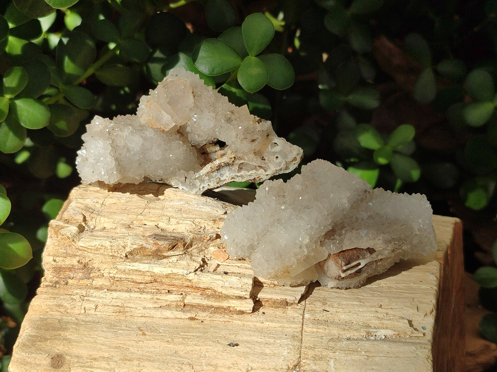 Natural Drusy Snow Finger Crystal Clusters x 12 From Albert's Mountain, Lesotho - Toprock Gemstones and Minerals 