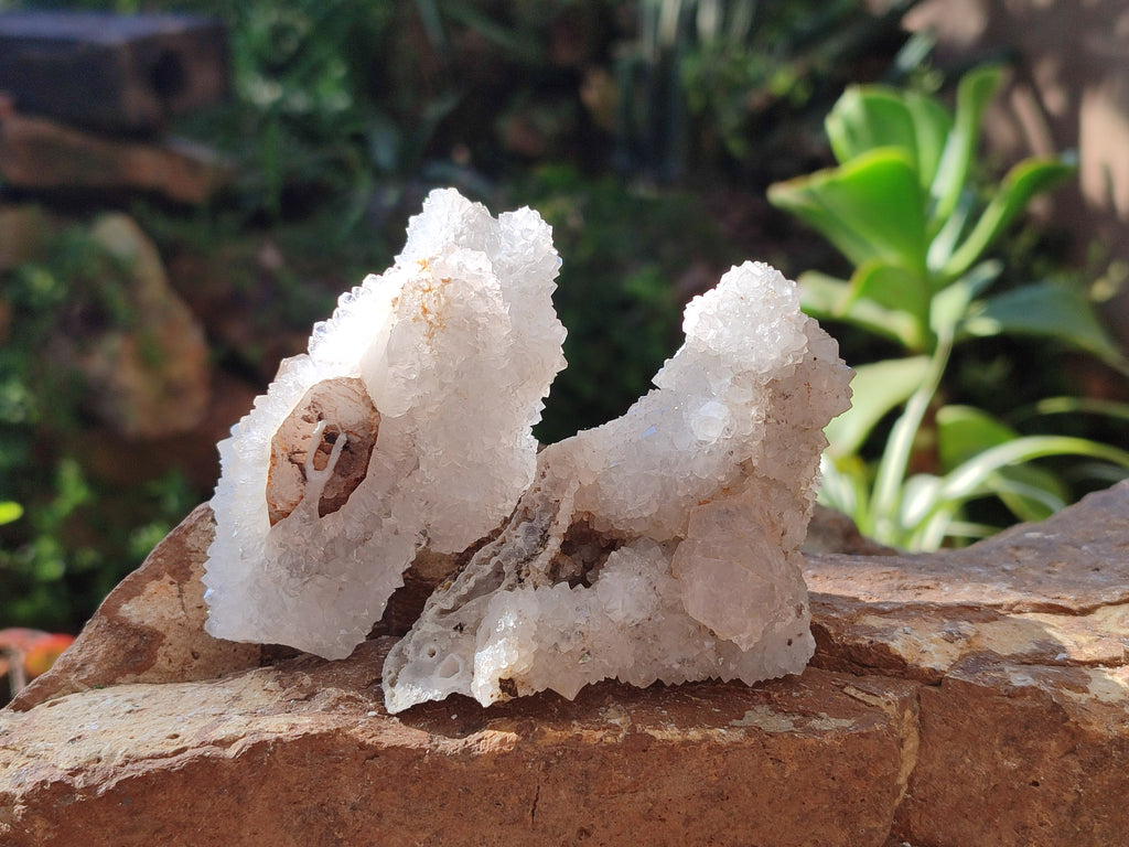 Natural Drusy Snow Finger Crystal Clusters x 12 From Albert's Mountain, Lesotho - Toprock Gemstones and Minerals 