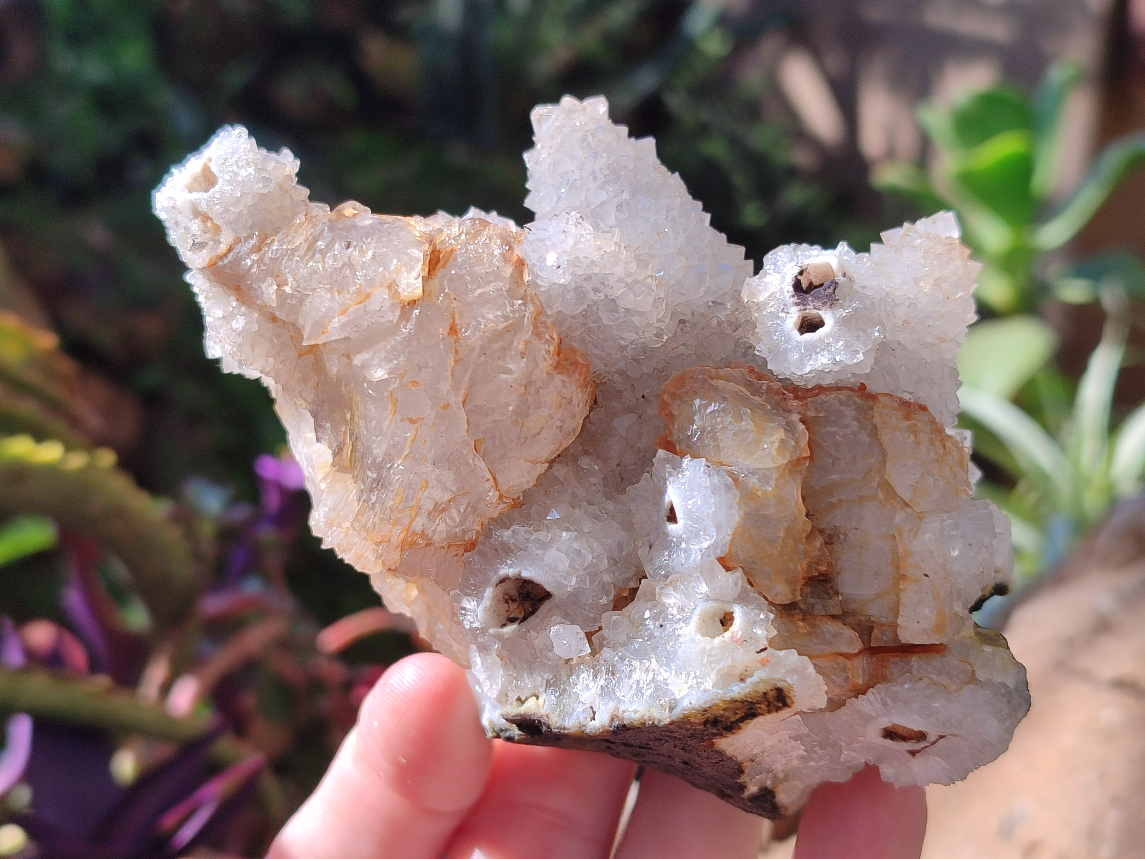 Natural Drusy Snow Finger Crystal Clusters x 12 From Albert's Mountain, Lesotho - Toprock Gemstones and Minerals 