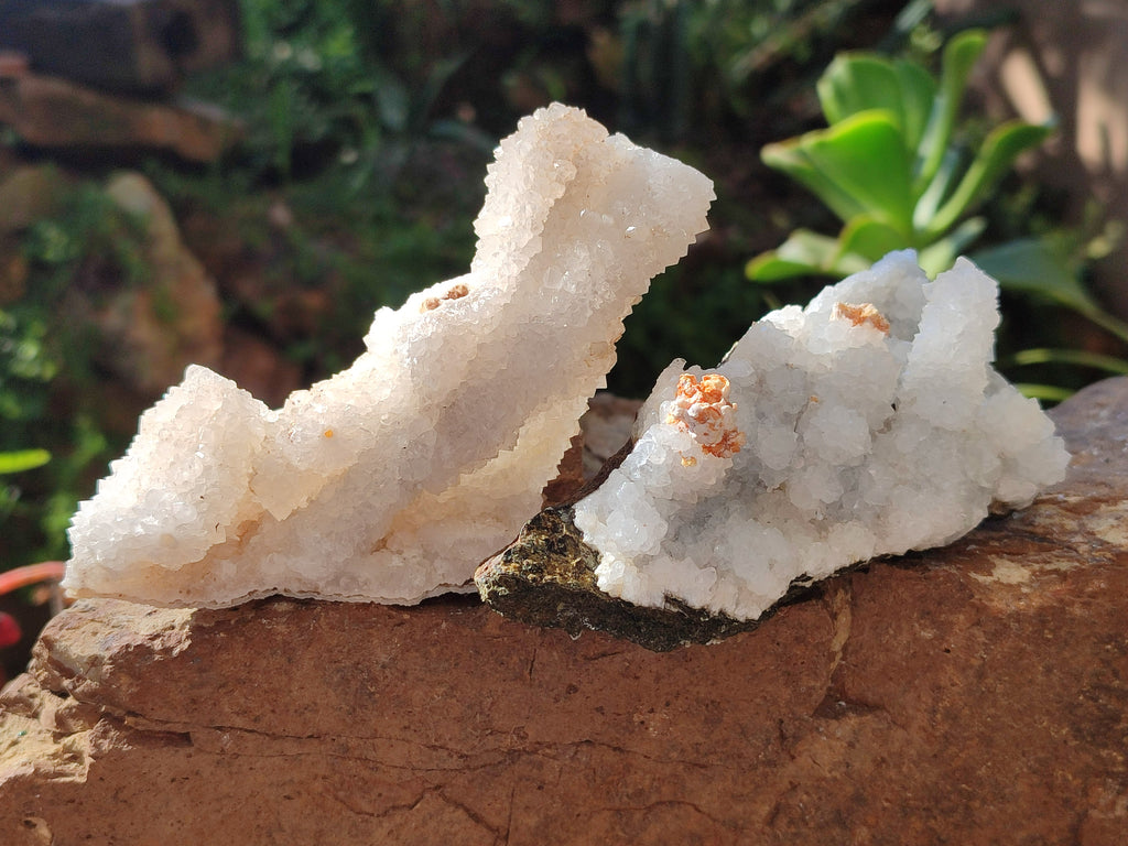 Natural Drusy Snow Finger Crystal Clusters x 12 From Albert's Mountain, Lesotho - Toprock Gemstones and Minerals 