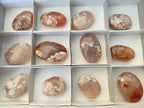 Polished Flower Agate Palm Stones x 12 From Antsahalova, Madagascar - Toprock Gemstones and Minerals 