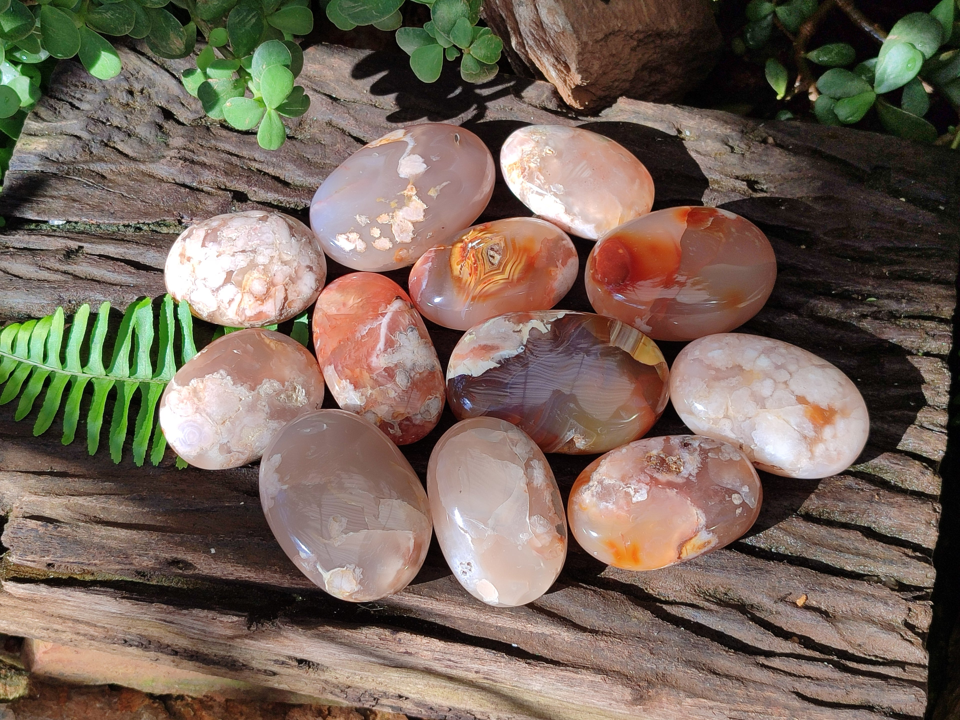 Polished Flower Agate Palm Stones x 12 From Antsahalova, Madagascar - Toprock Gemstones and Minerals 