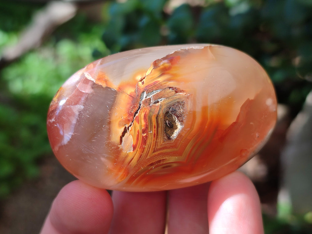 Polished Flower Agate Palm Stones x 12 From Antsahalova, Madagascar - Toprock Gemstones and Minerals 