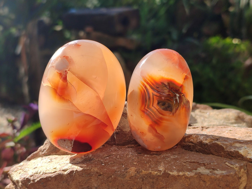 Polished Flower Agate Palm Stones x 12 From Antsahalova, Madagascar - Toprock Gemstones and Minerals 