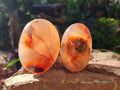 Polished Flower Agate Palm Stones x 12 From Antsahalova, Madagascar - Toprock Gemstones and Minerals 