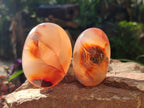 Polished Flower Agate Palm Stones x 12 From Antsahalova, Madagascar - Toprock Gemstones and Minerals 