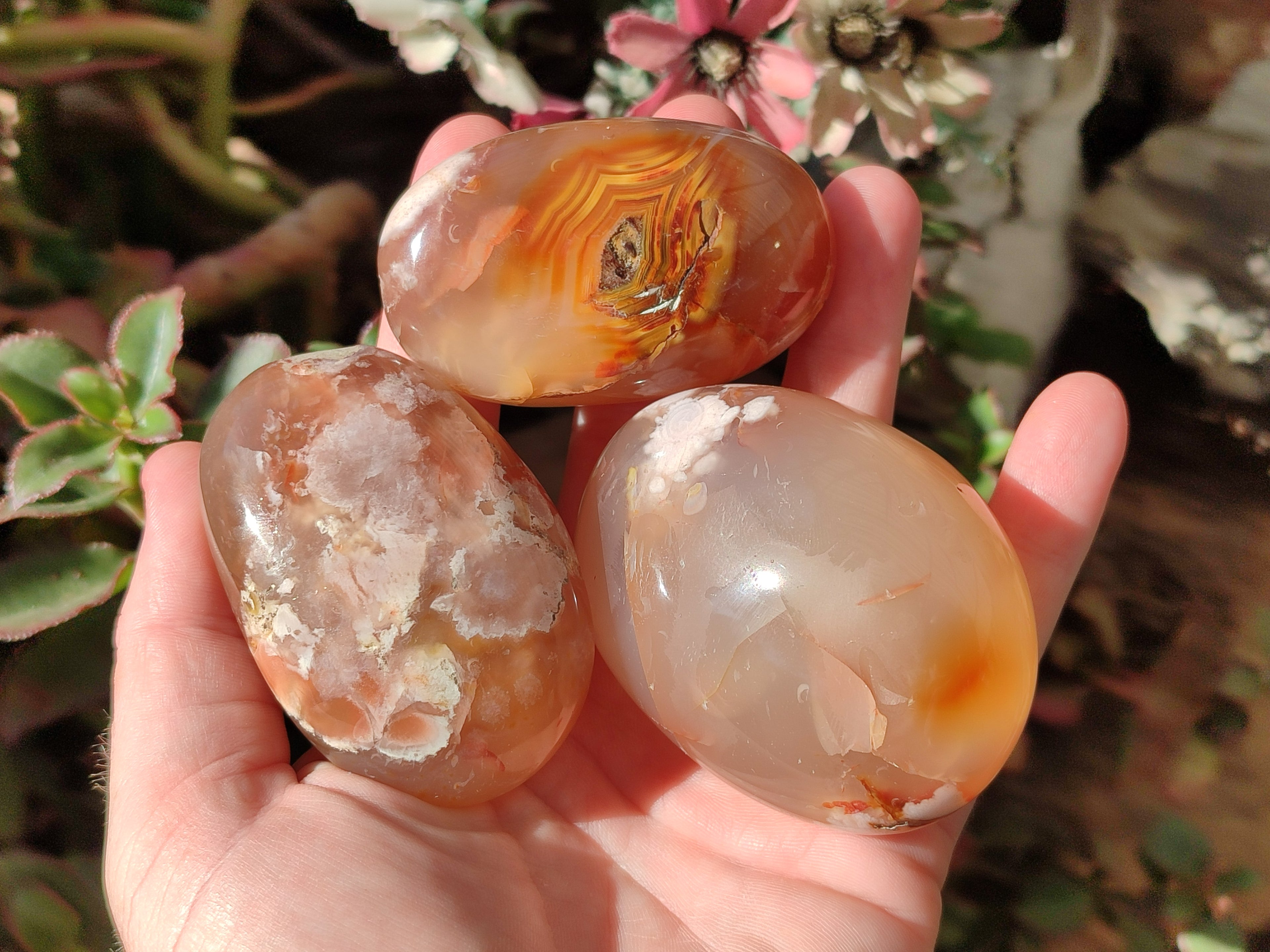 Polished Flower Agate Palm Stones x 12 From Antsahalova, Madagascar - Toprock Gemstones and Minerals 