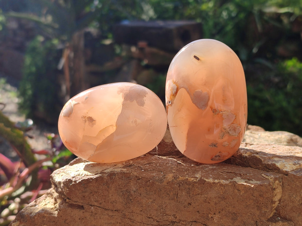Polished Flower Agate Palm Stones x 12 From Antsahalova, Madagascar - Toprock Gemstones and Minerals 