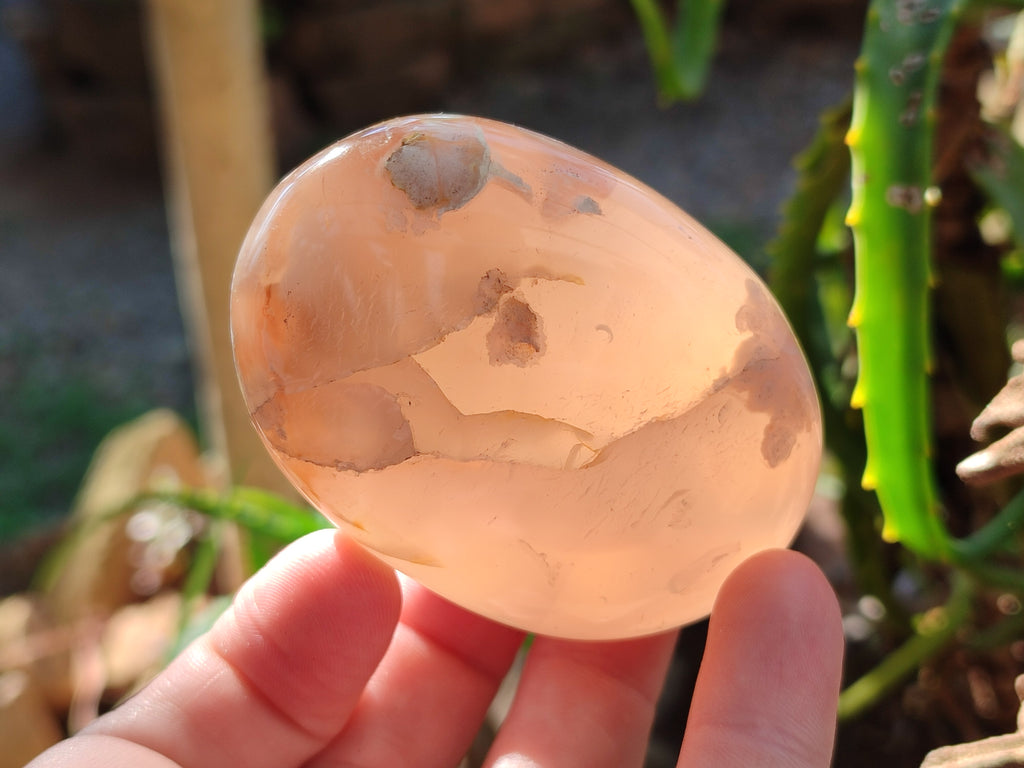 Polished Flower Agate Palm Stones x 12 From Antsahalova, Madagascar - Toprock Gemstones and Minerals 