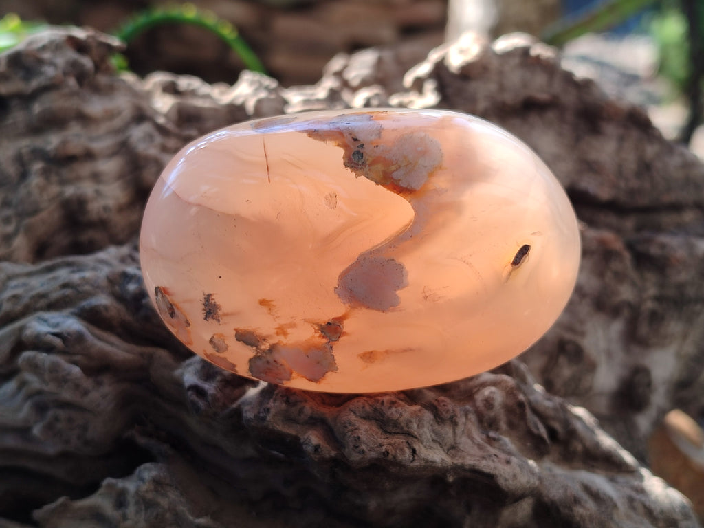 Polished Flower Agate Palm Stones x 12 From Antsahalova, Madagascar - Toprock Gemstones and Minerals 